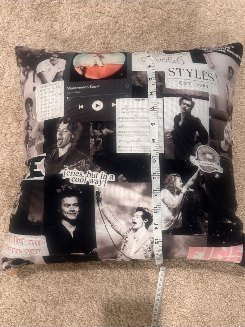 Harry Styles Photo Collage Pillow
